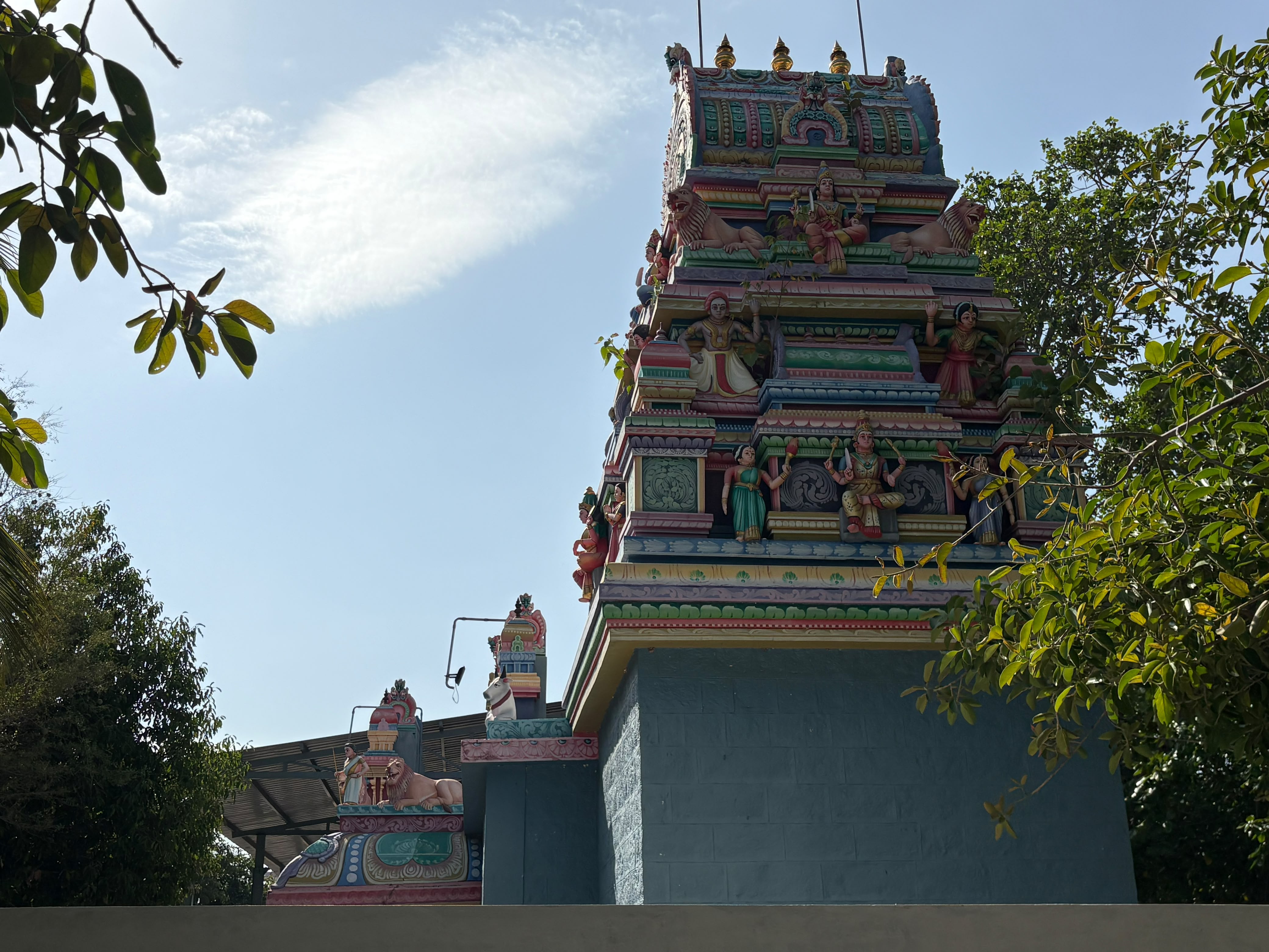 திருவிழா புகைப்படம் 5